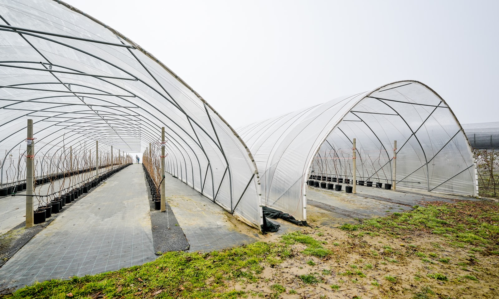 OPG_Vinko_Selnik (24)