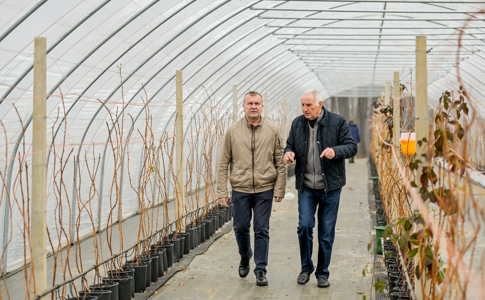 OPG_Vinko_Selnik (3)