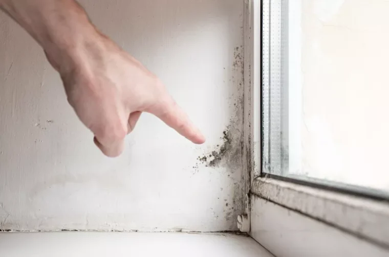 PHOTOSHUTERSTOCK (2)