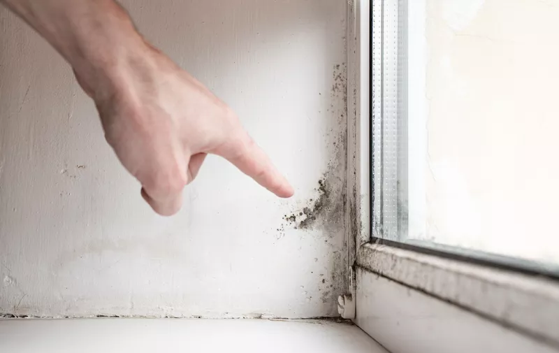 PHOTOSHUTERSTOCK (2) PHOTOSHUTERSTOCK (2)