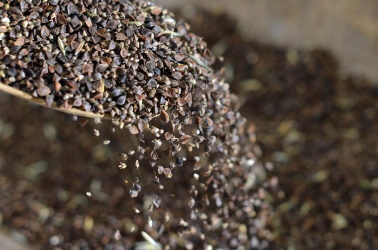 hajdina kaša, heljda