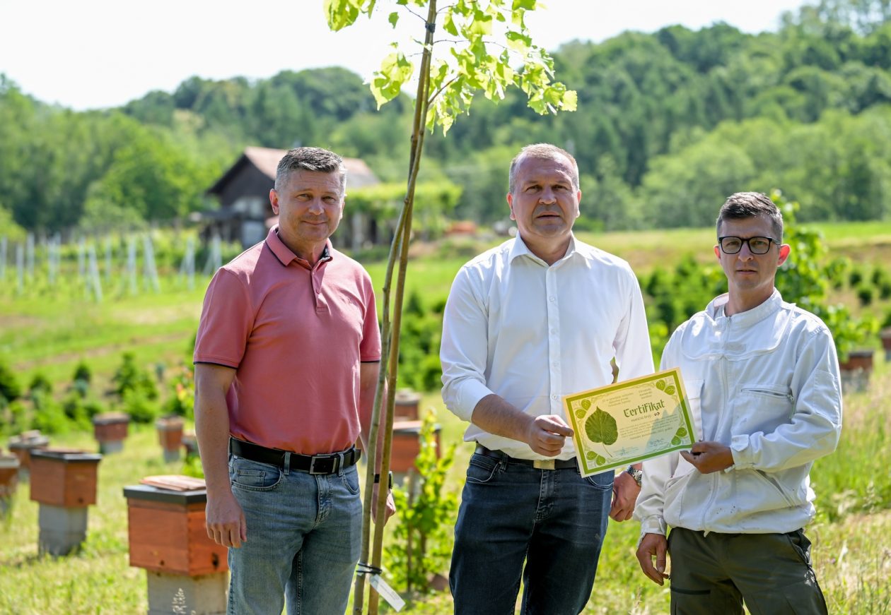 Pcelarstvo (6) Pcelarstvo (6)
