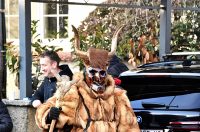 Petrijanec Fašnik 12