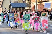 Petrijanec Fašnik 15