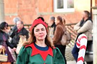 Petrijanec Fašnik 21