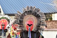 Petrijanec Fašnik 24