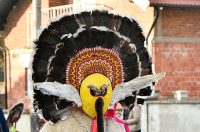 Petrijanec Fašnik 30