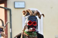 Petrijanec Fašnik 32