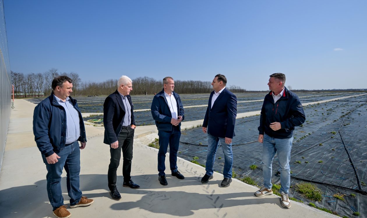 Poticaji_poljoprivreda (11) Poticaji_poljoprivreda (11)