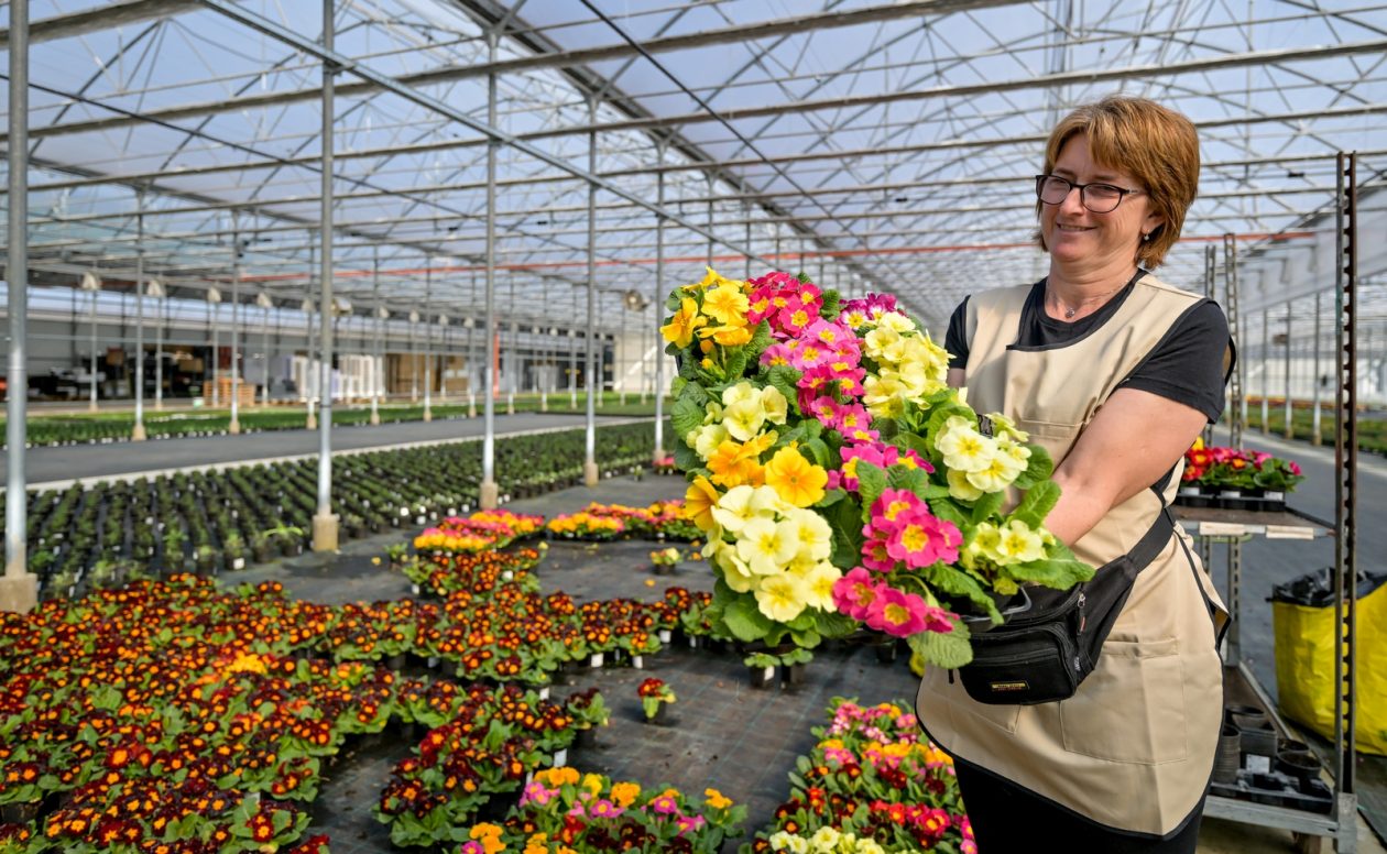 Poticaji_poljoprivreda (2) Poticaji_poljoprivreda (2)