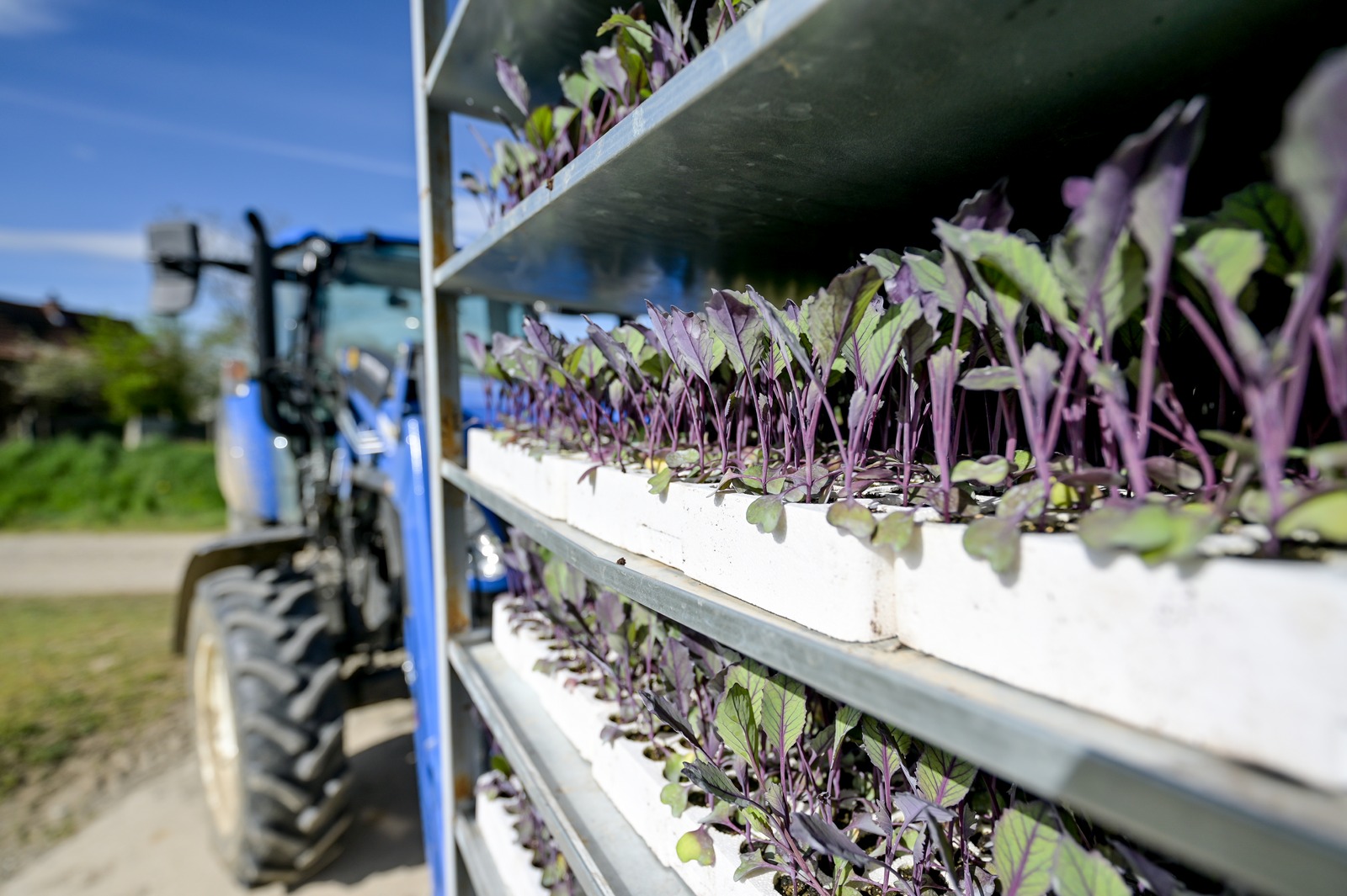 Poticaji_poljoprivreda (23)