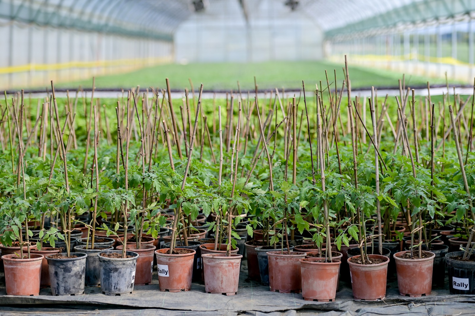 Poticaji_poljoprivreda (27)