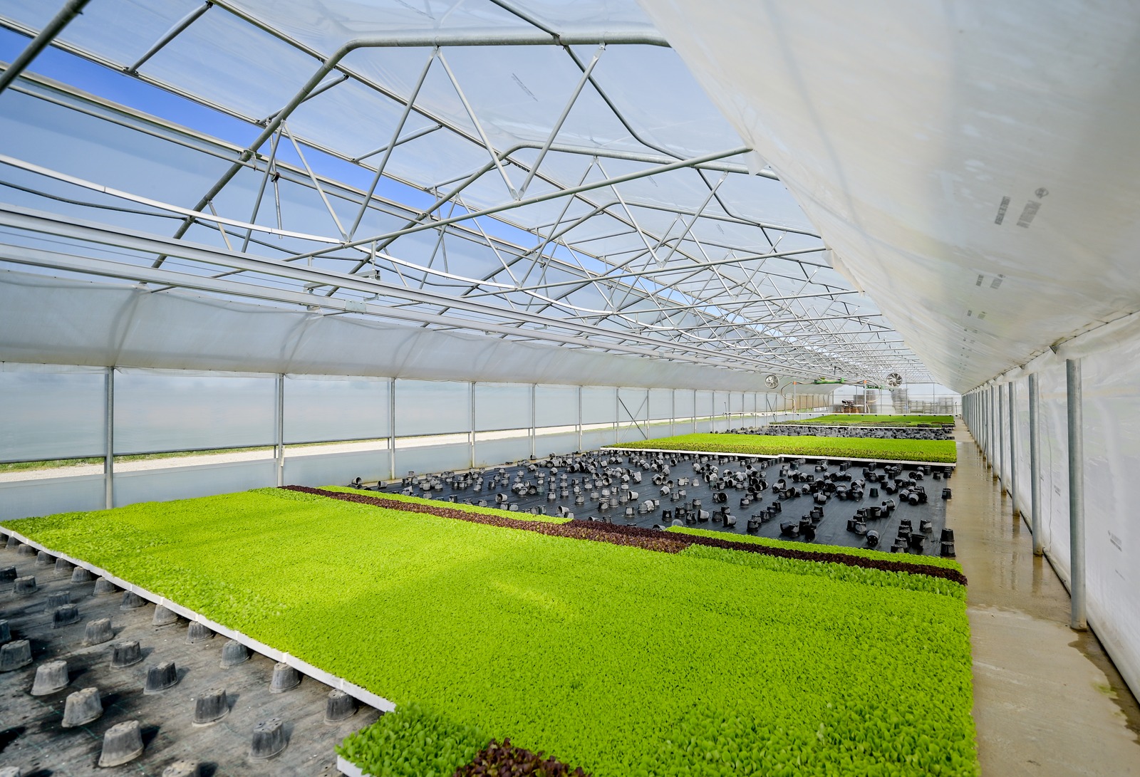 Poticaji_poljoprivreda (28)