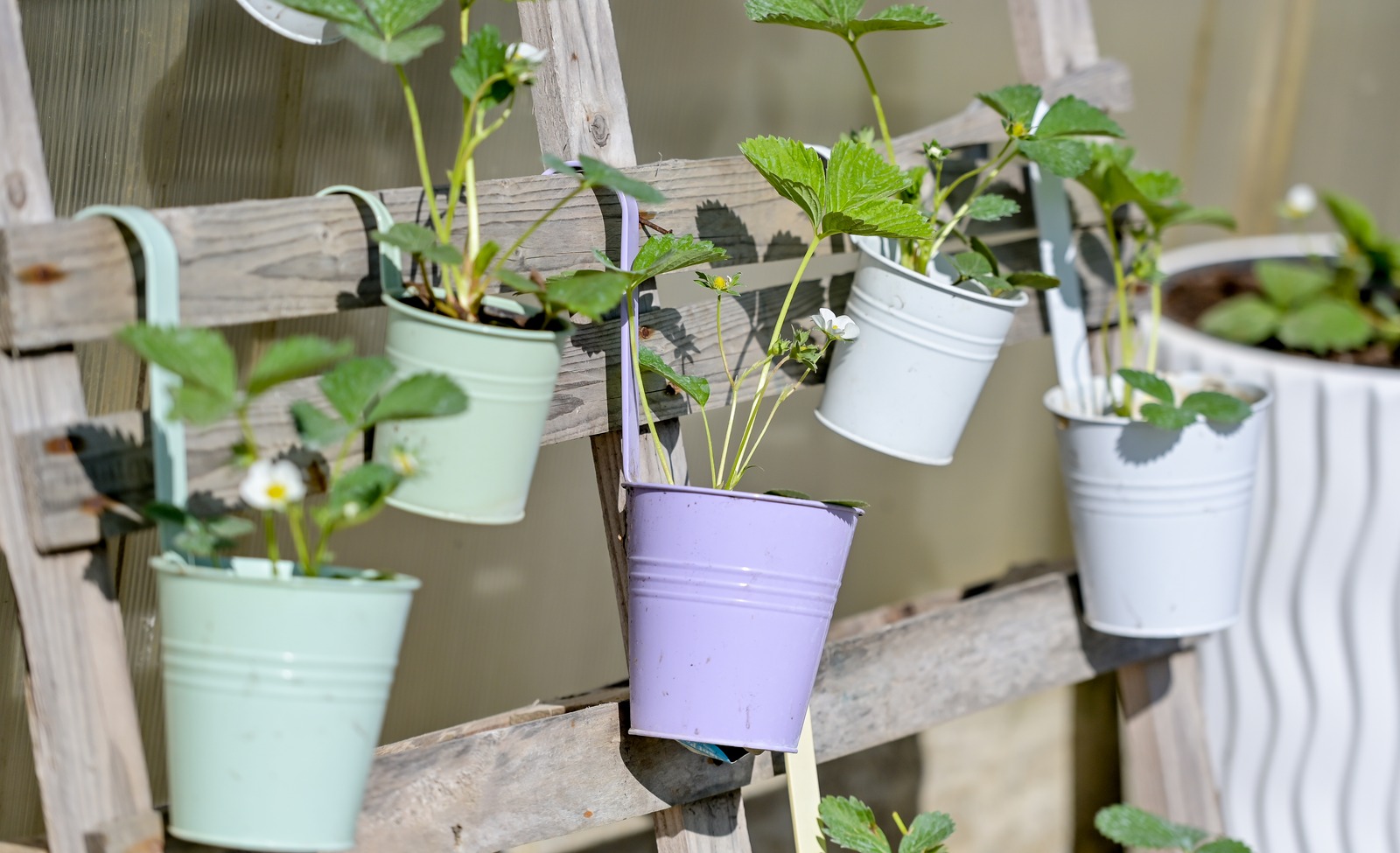 Poticaji_poljoprivreda (29)