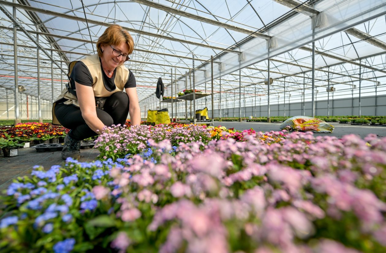 Poticaji_poljoprivreda (5) Poticaji_poljoprivreda (5)