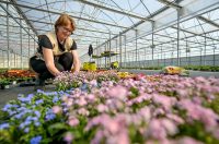 Poticaji_poljoprivreda (5) Poticaji_poljoprivreda (5)