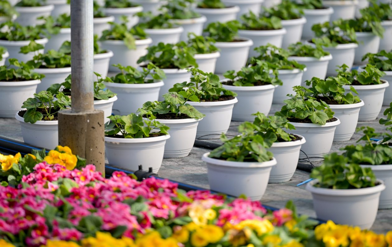 Poticaji_poljoprivreda (6) Poticaji_poljoprivreda (6)