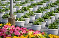 Poticaji_poljoprivreda (6) Poticaji_poljoprivreda (6)