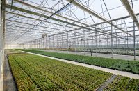 Poticaji_poljoprivreda (8) Poticaji_poljoprivreda (8)