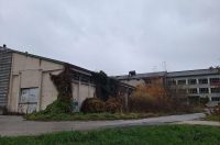 Prapovijesni park Erika (11)