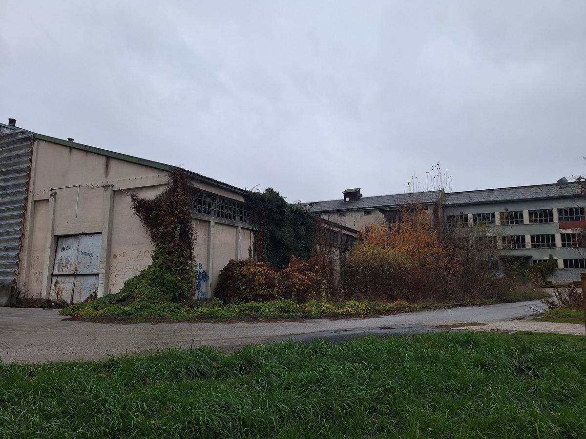 Prapovijesni park Erika (11)