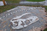 Prapovijesni park Erika (3)