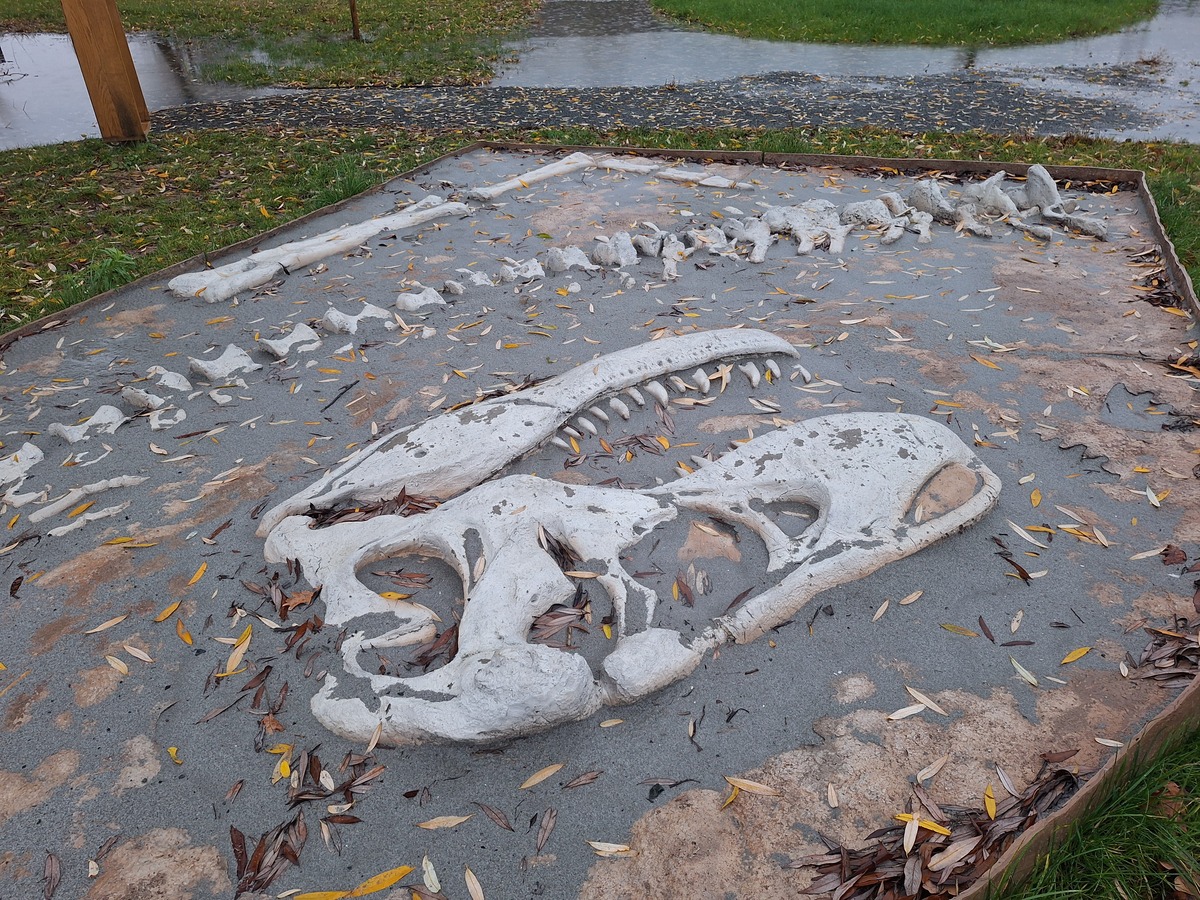 Prapovijesni park Erika (3)