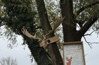 Prapovijesni park Erika (4)