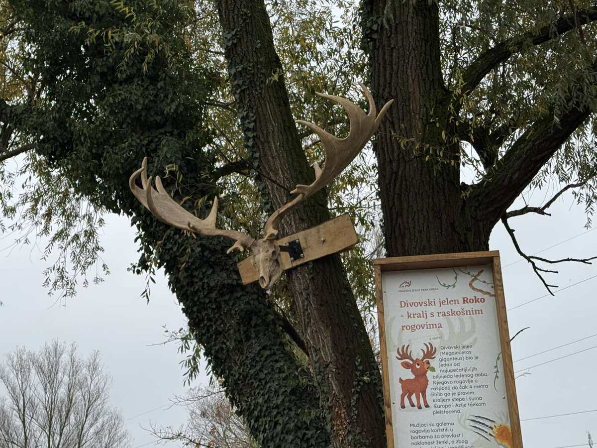 Prapovijesni park Erika (4)