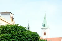 Prijem_predstavnika_odbora_za_obranu (65)