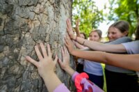 Progkašenje stabla godine3