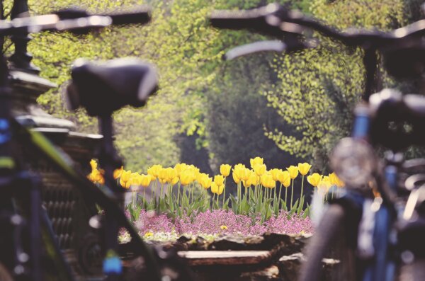 Proljeće Varaždin foto Volim Varaždin TZGV (4)