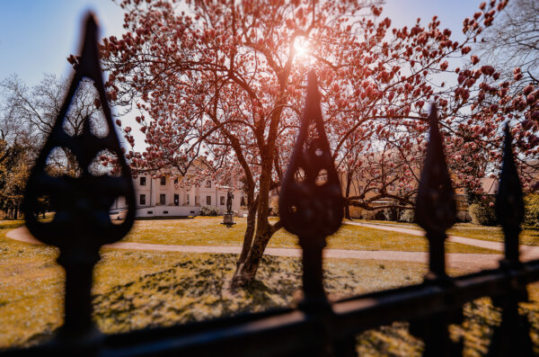 Proljeće Varaždin foto Volim Varaždin TZGV (6)