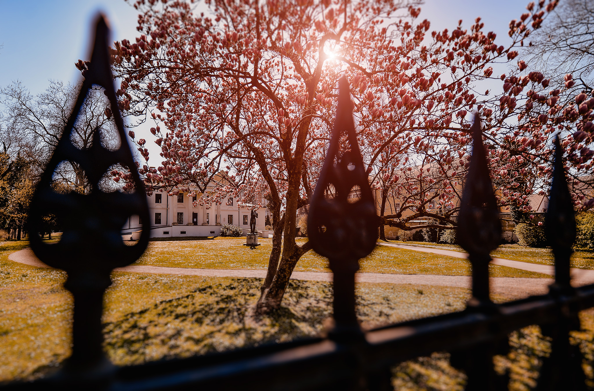 Proljeće Varaždin foto Volim Varaždin TZGV (6)