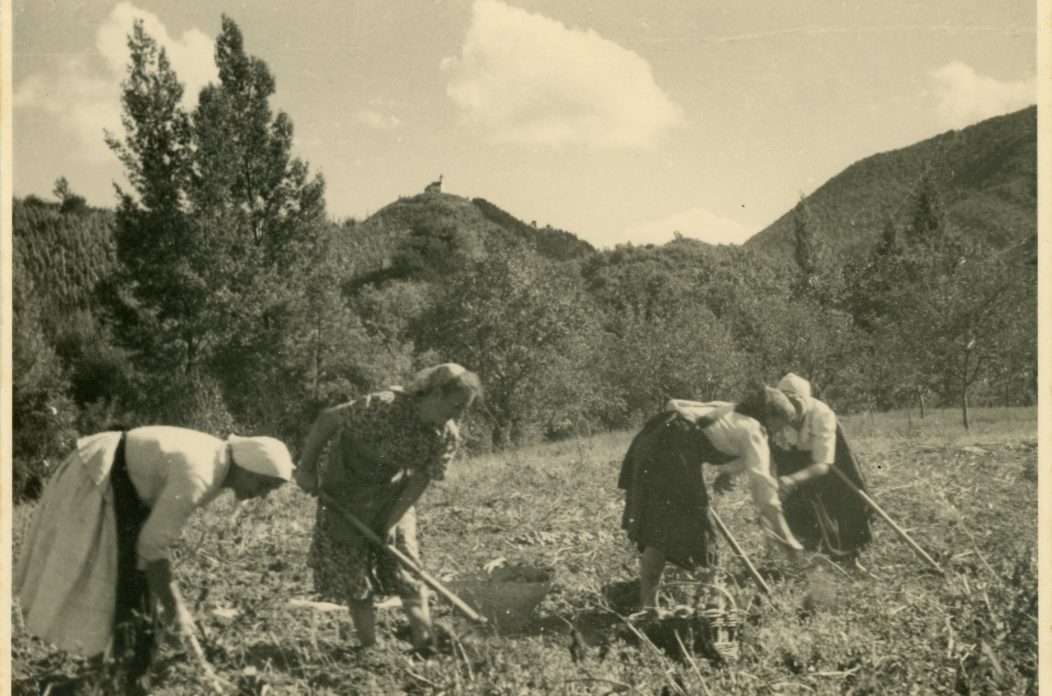 Radovi u polju, Fotoarhiva GMV