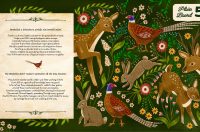 Raspored i dizajn ploča_pages-to-jpg-0011 Raspored i dizajn ploča_pages-to-jpg-0011