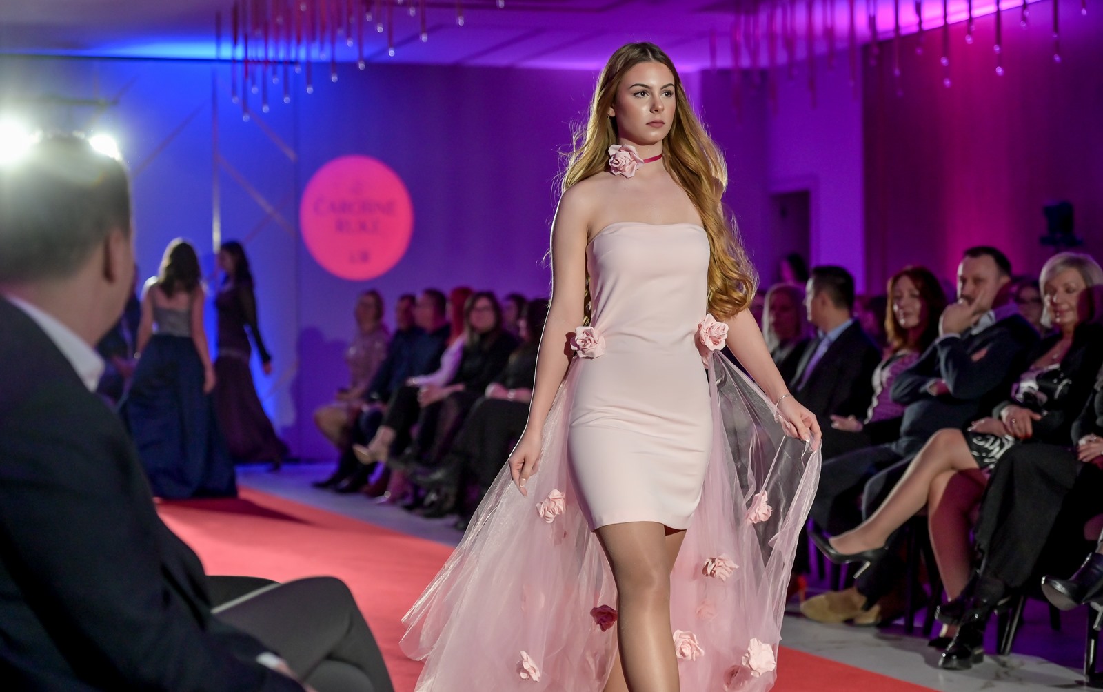 Revija Čarobne ruke VŽ županija (15)