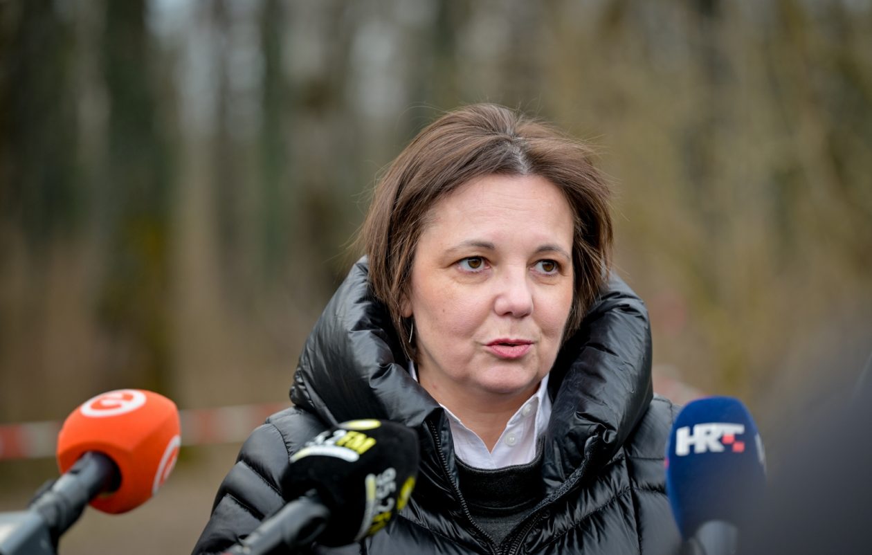 Rusenje_stabala_Drava (10) Rusenje_stabala_Drava (10)