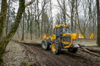 Rusenje_stabala_Drava (16) Rusenje_stabala_Drava (16)