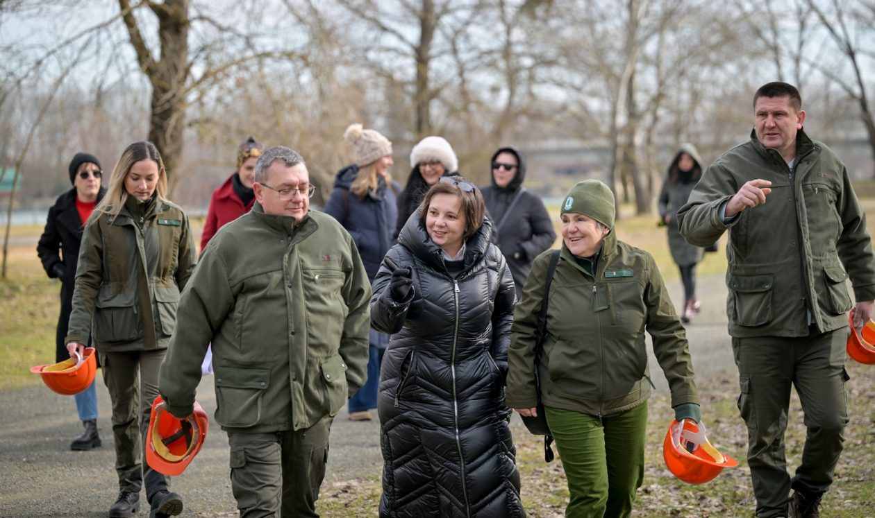 Rusenje_stabala_Drava (3) Rusenje_stabala_Drava (3)