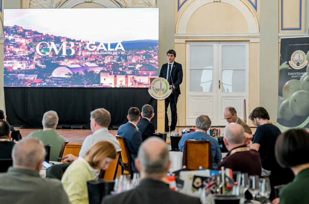 Sauvignon_selection (29) Sauvignon_selection (29)