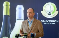 Sauvignon_selection (4) Sauvignon_selection (4)