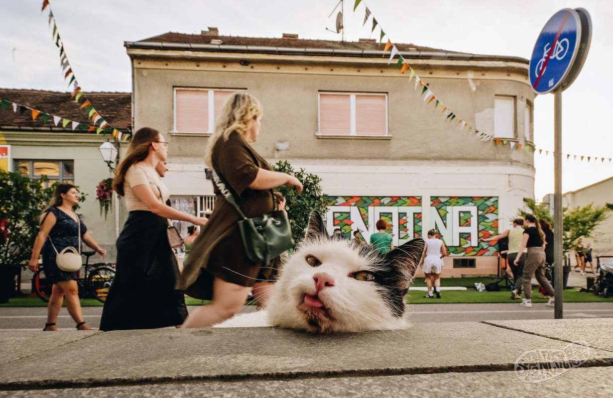 Špancirfest 2024 4 dan (18) Špancirfest 2024 4 dan (18)