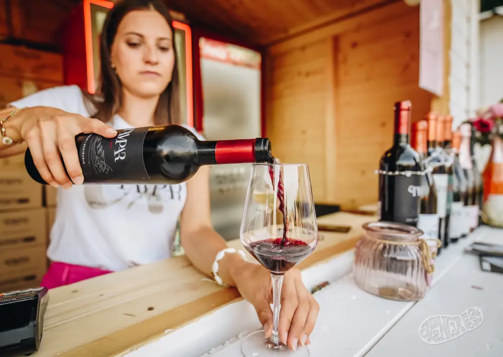 Špancirfest, dan drugi FOTO Špancirfest66