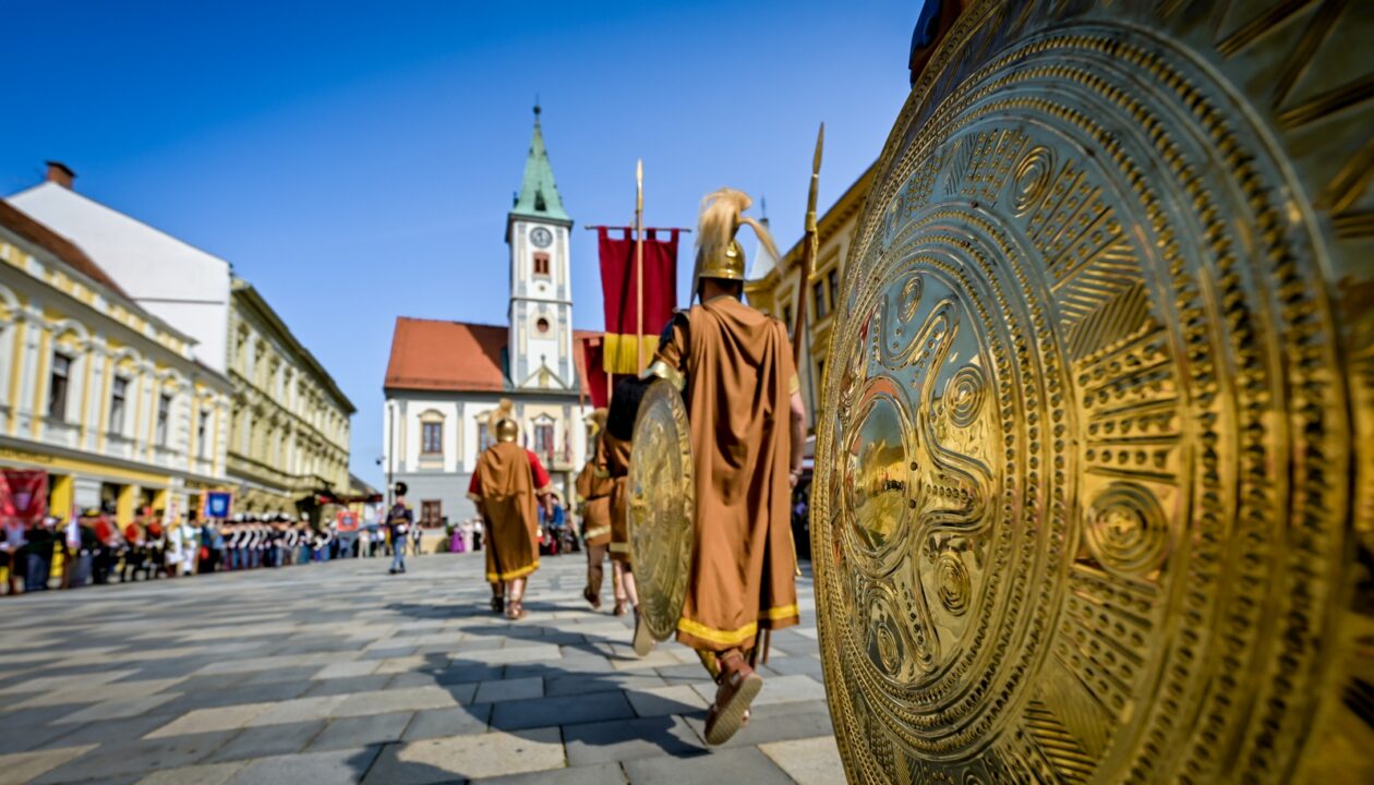 Susret_povijesnih_postrojbi (9)