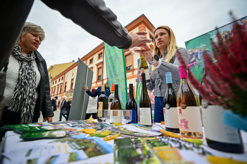 Svjetski dan turizma TZ Varaždinske županije (6) Svjetski dan turizma TZ Varaždinske županije (6)