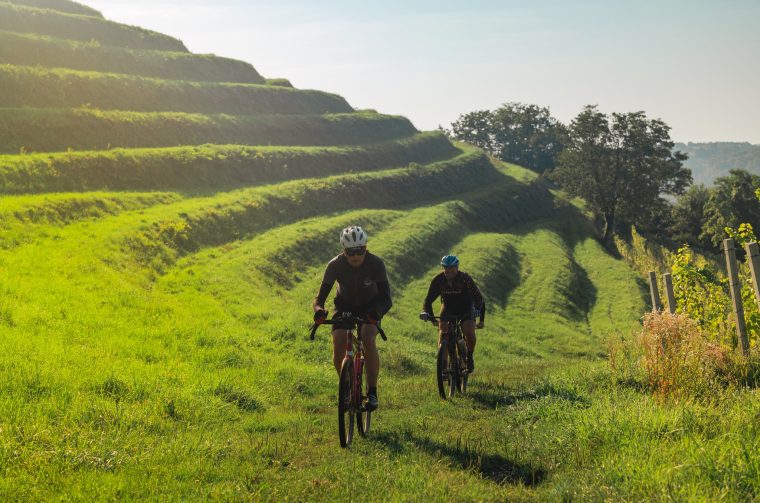 turistička zajednica međimurske županije