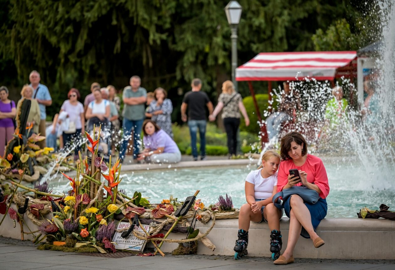 VBV_2025_dan_3 (13) VBV_2025_dan_3 (13)