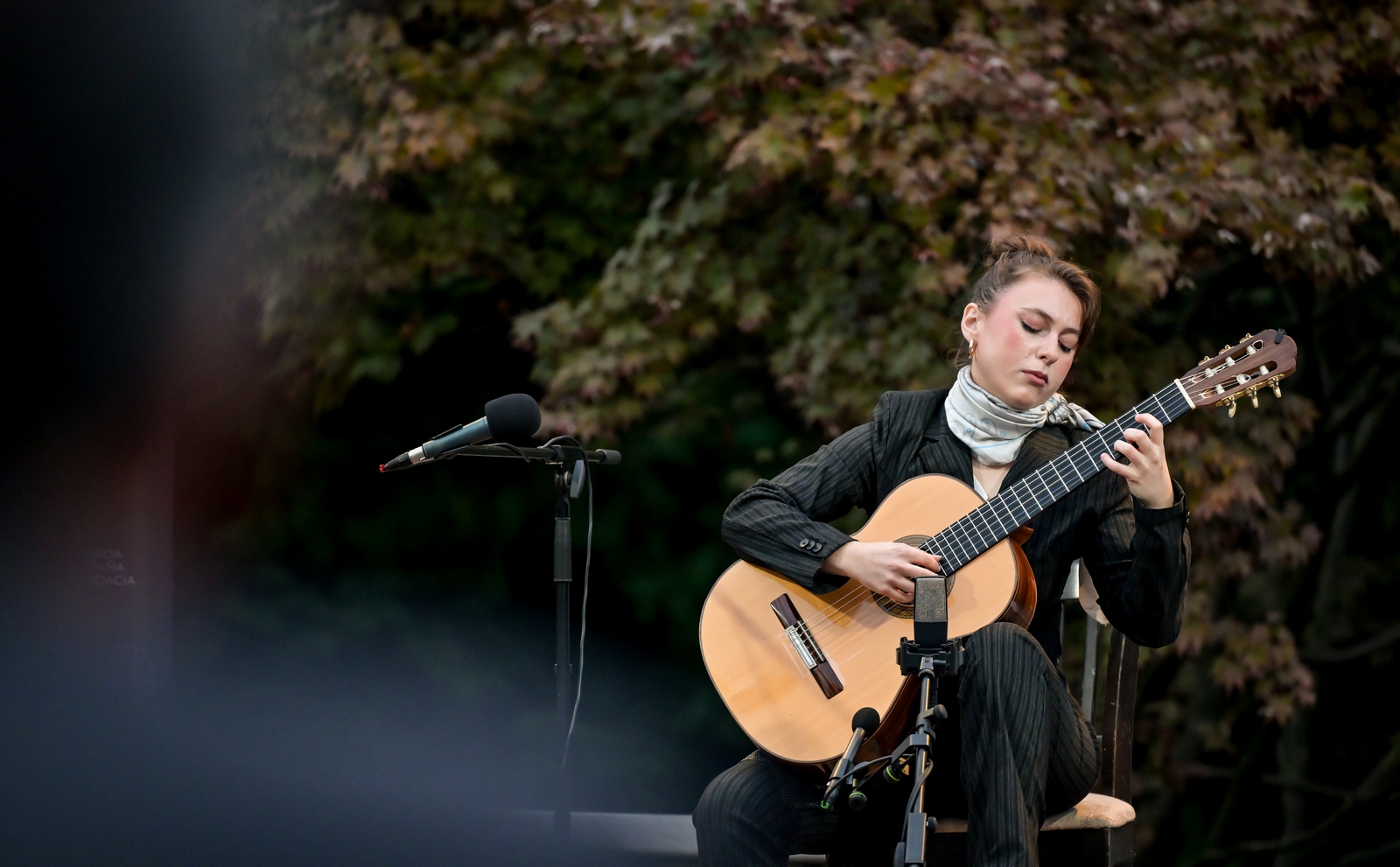 VBV_dan_7 (17) VBV_dan_7 (17)