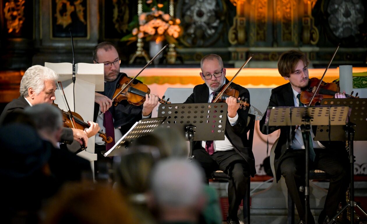 VBV_dan_8 (14) VBV_dan_8 (14)